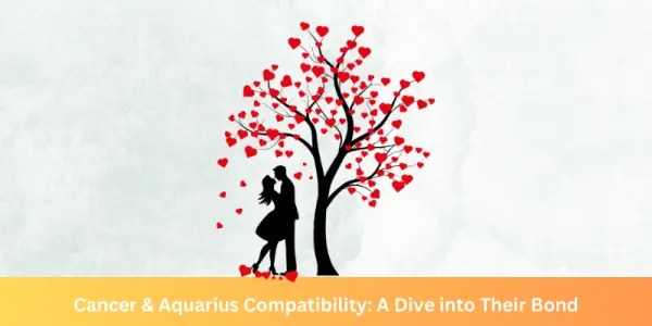 Cancer & Aquarius Compatibility: A  Dive into Their Bond